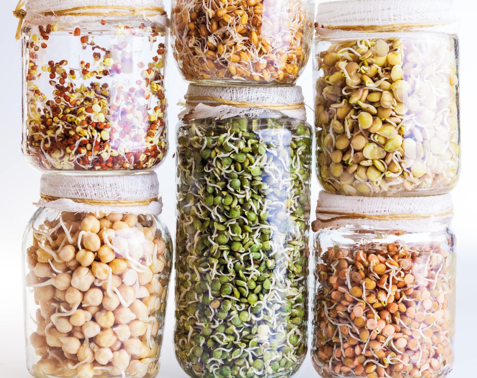 how to properly prepare grains, legumes, nuts, and seeds