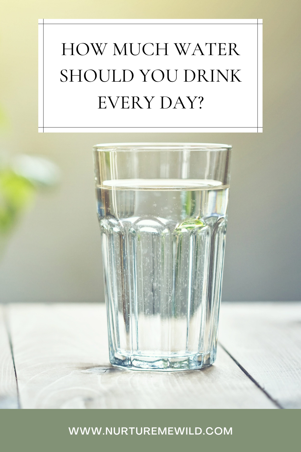 How Much Water Should You Drink Every Day | Nurture Me Wild