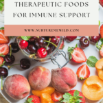 foods for immune support