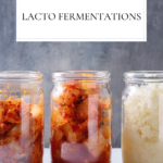 Lacto Fermentation