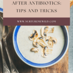 healing the gut after antibiotics