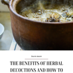 herbal-decoctions