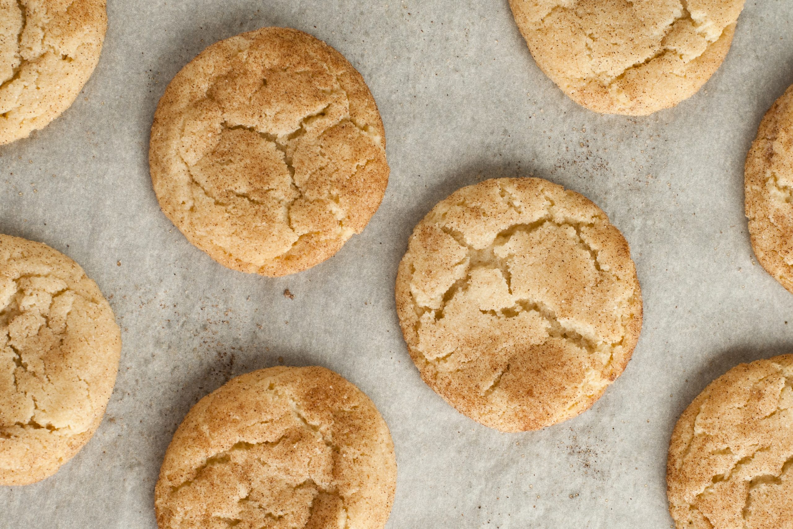 Recipe Snickerdoodle Cookies Grain-Free